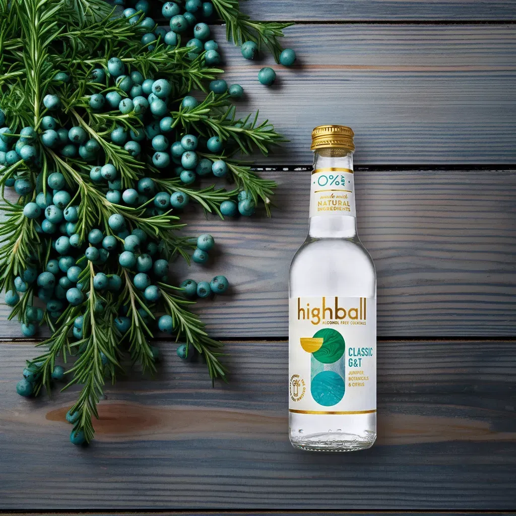 Highball Alcohol-Free Gin & Tonic (0% ABV)