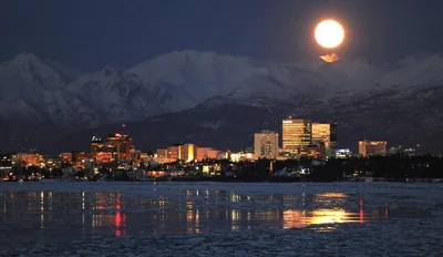 A life based on self will