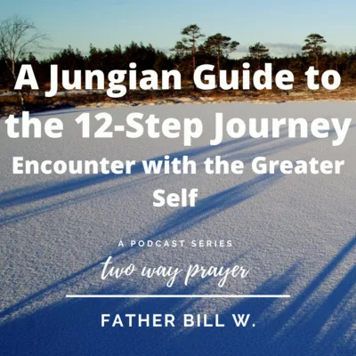 A Jungian's Guide to the 12 Step Journey: Encounter with the Greater Self