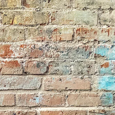 Getting to the More: An Interview with Fr. Bill