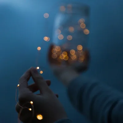 AA and William James; Step One