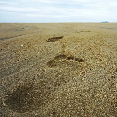 BONUS EPISODE: Fr. Bills Story and Steps