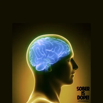 Depression and Mindfulness
(Healing the Frontal Parietal Network)
“Mental Health Series”