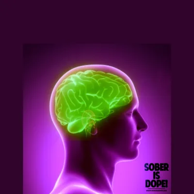 Depression and Neuroplasticity 
(Healing Disrupted Neural Circuits) 
“Mental Health Series”