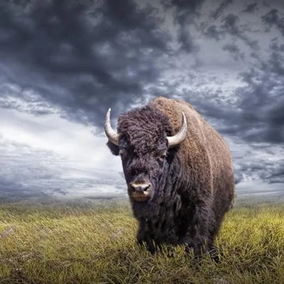 There Is A Solution!