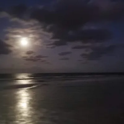 Straight Up No Chaser Recovery Podcast