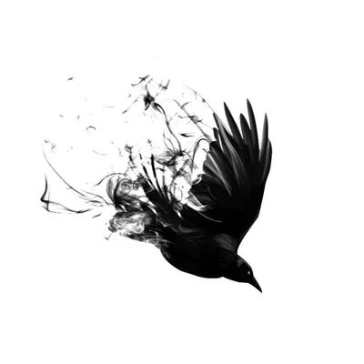 14. The Song and Dance of Reflection and Self Love