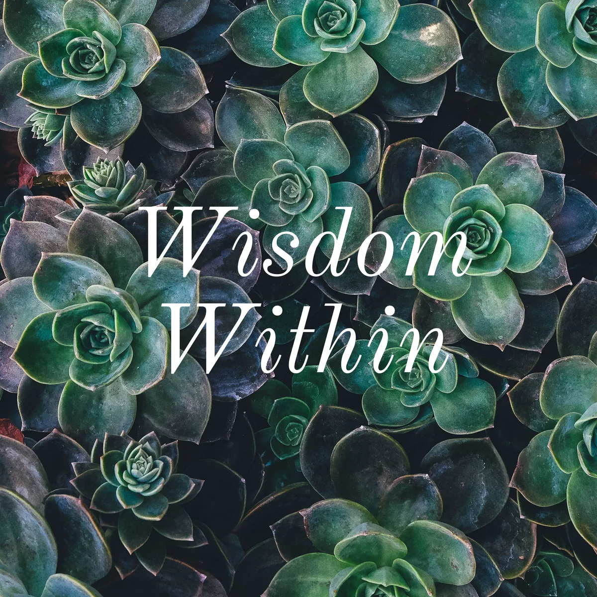 Episode #20: The “What Lifts Us, Radical Acceptance, To Be-Not To Do, Get Good@Practice” Episode