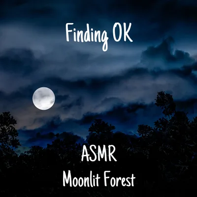 ASMR Moonlit Forest