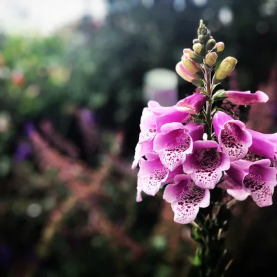 Non-Judgmental Sobriety