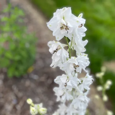 You Cannot Quit Drinking by Not Drinking