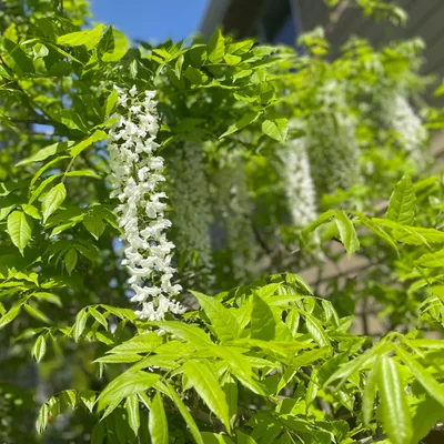 Why, Do I Keep Doing This?