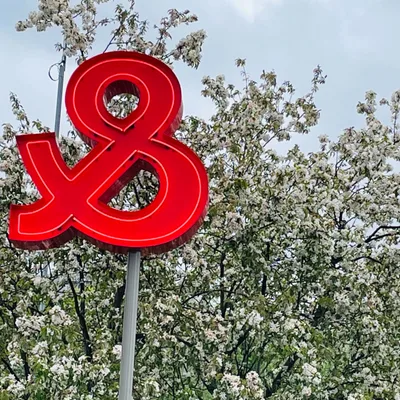 Reclaim Your Passion