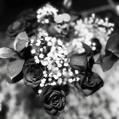 When (sh)It Hits the Fan