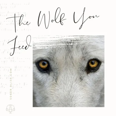 Sober Bliss Meets - The Wolf You Feed