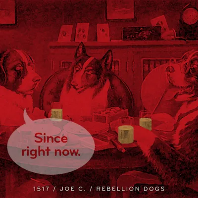 Episode 1517: Joe C. / Rebellion Dogs