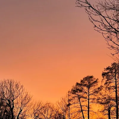 Why We Disintegrate After the Narcissist Discard