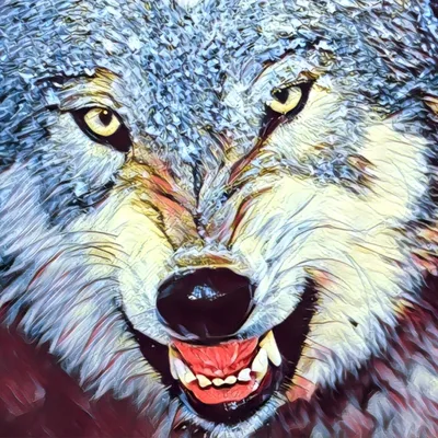 New World New Normal