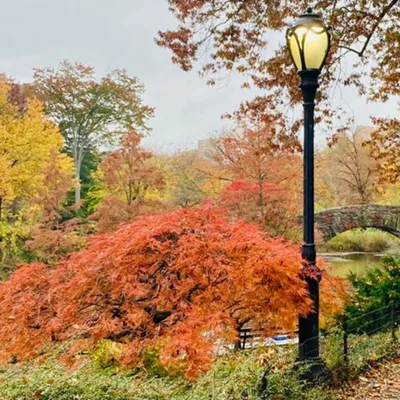 Not an Empty Vessel Just Waiting to be Filled