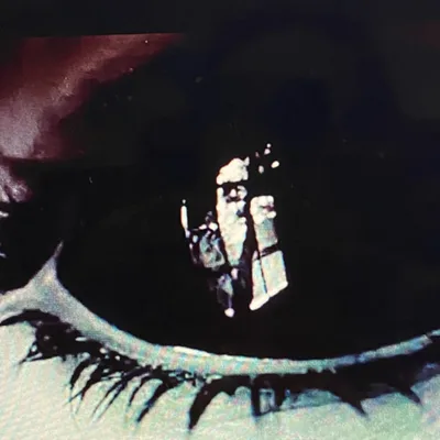 The Scrambled Brain of the Narcissist