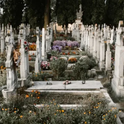 3 Things That Will Kill You: COVID-19, Social Injustice & Racism, and the Predatory Narcissist