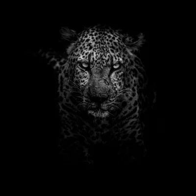 Feast and Famine: A Fractured Fairy Tale