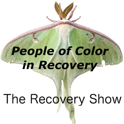 People of Color in Recovery – Diversity, Equity, Inclusion, and Belonging – 394