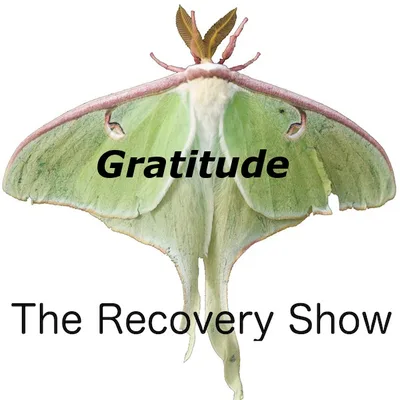 Gratitude 2022 – 390