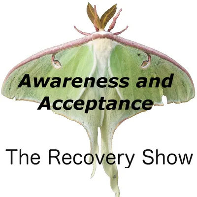 Awareness and Acceptance – 380