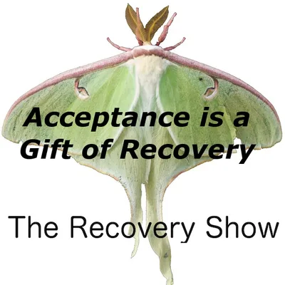 Acceptance is a Gift of Recovery – 381