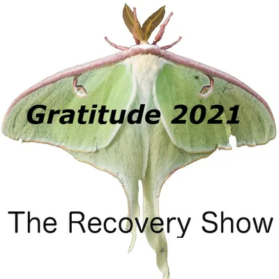 Gratitude 2021 – 373