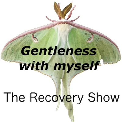 Gentleness with Myself – 370