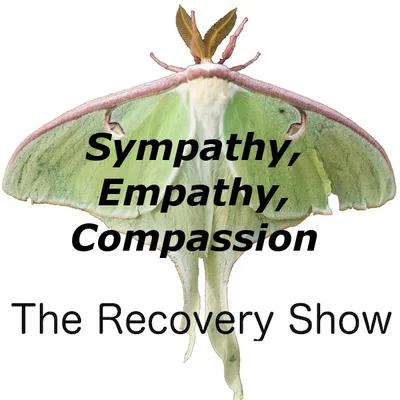 Sympathy, Empathy, and Compassion – 361