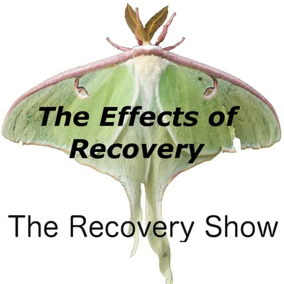 The Effects of Recovery – 359
