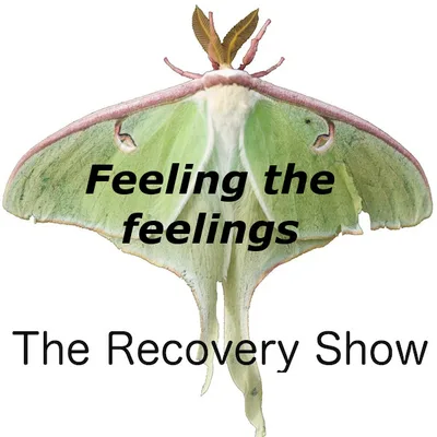 Feeling my feelings – 351