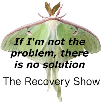 If I am not the Problem, there is no Solution – 347