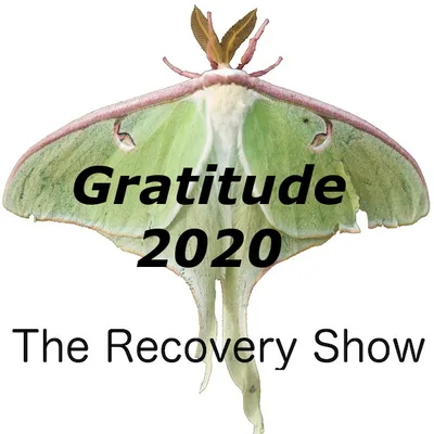Gratitude 2020 – 346