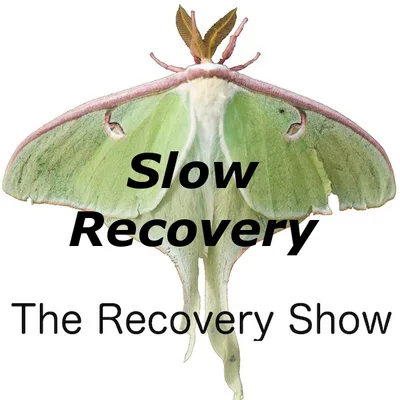 Slow Recovery – 345