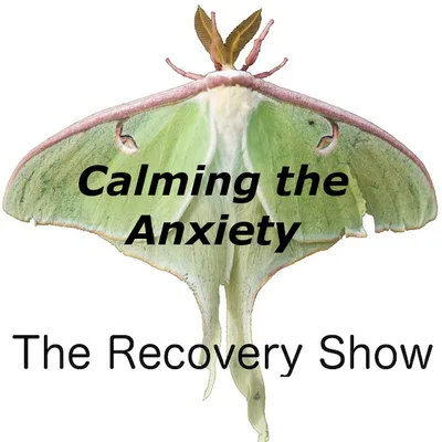 Calming the Anxiety — 344