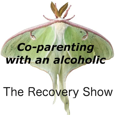 Co-parenting with an Alcoholic – 342