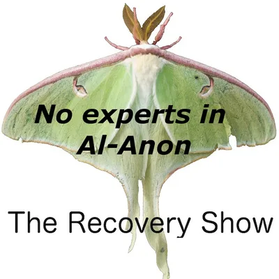 There are no experts in Al-Anon — 343