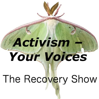 Activism and Recovery – Your Voices – 341