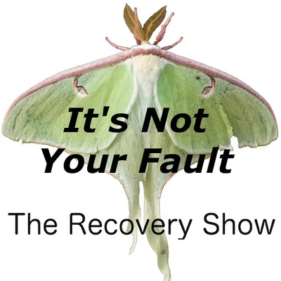 It’s Not Your Fault – 339