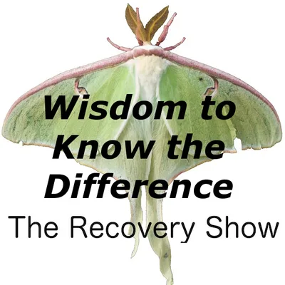 Wisdom to Know the Difference – 338