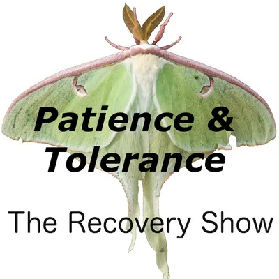 Patience and Tolerance – 333