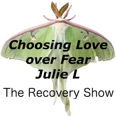 Choosing Love Over Fear One Day at a Time – Julie L – 331