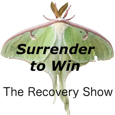 Surrender to Win – 320