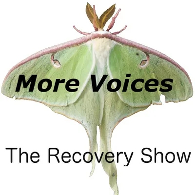 More voices – your sharing – 319