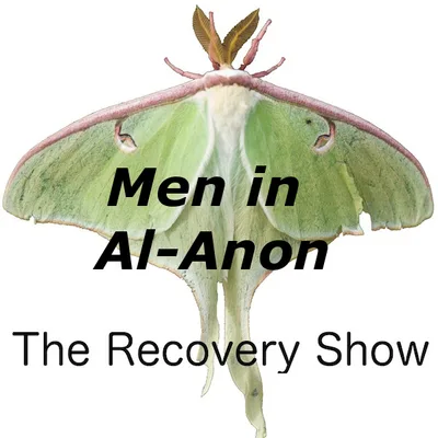Men in Al-Anon – 316