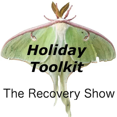 Holiday Toolkit – 311